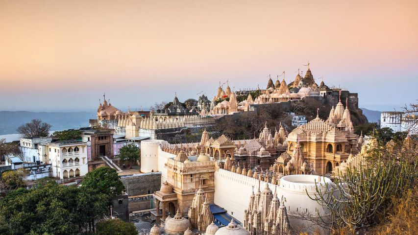 Jain temples on top of Shantrujaya hill, Palitana, Gujarat
