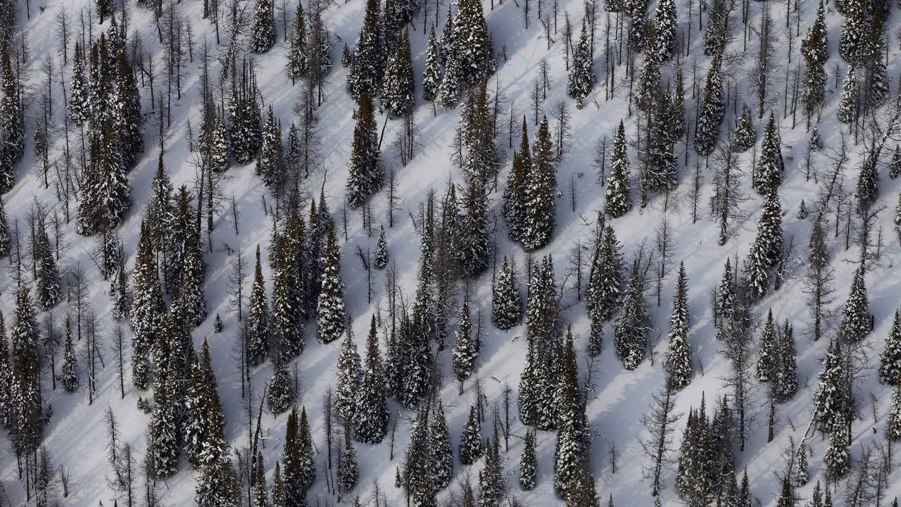 Mount Goodsir and surroundings in Yoho National Park, B.C.