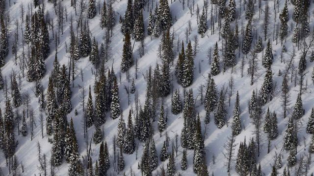 Mount Goodsir and surroundings in Yoho National Park, B.C.