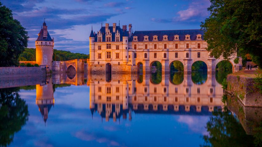The Ladies' Château