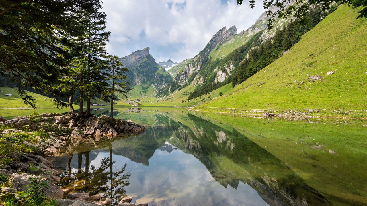 Swiss bliss