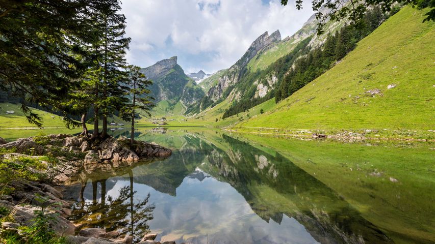 Swiss bliss