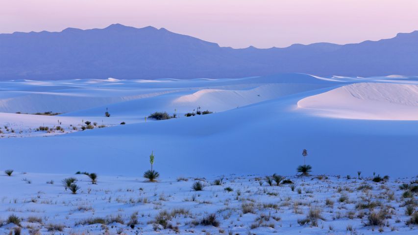 Parque Nacional de White Sands, Nuevo México, EE.UU.