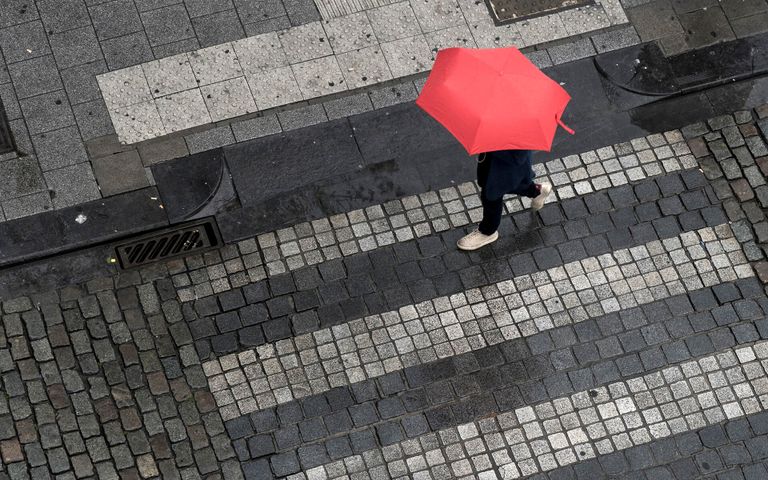 Rain in the City Theme for Windows 10