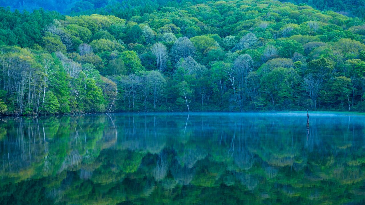 鏡池, 長野県 長野市 - Bing Gallery · Peapix