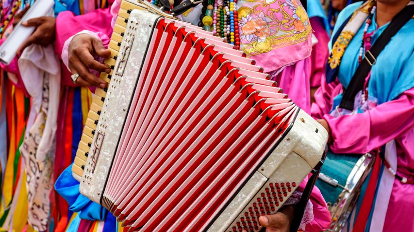 Acordeonista tocando seu instrumento