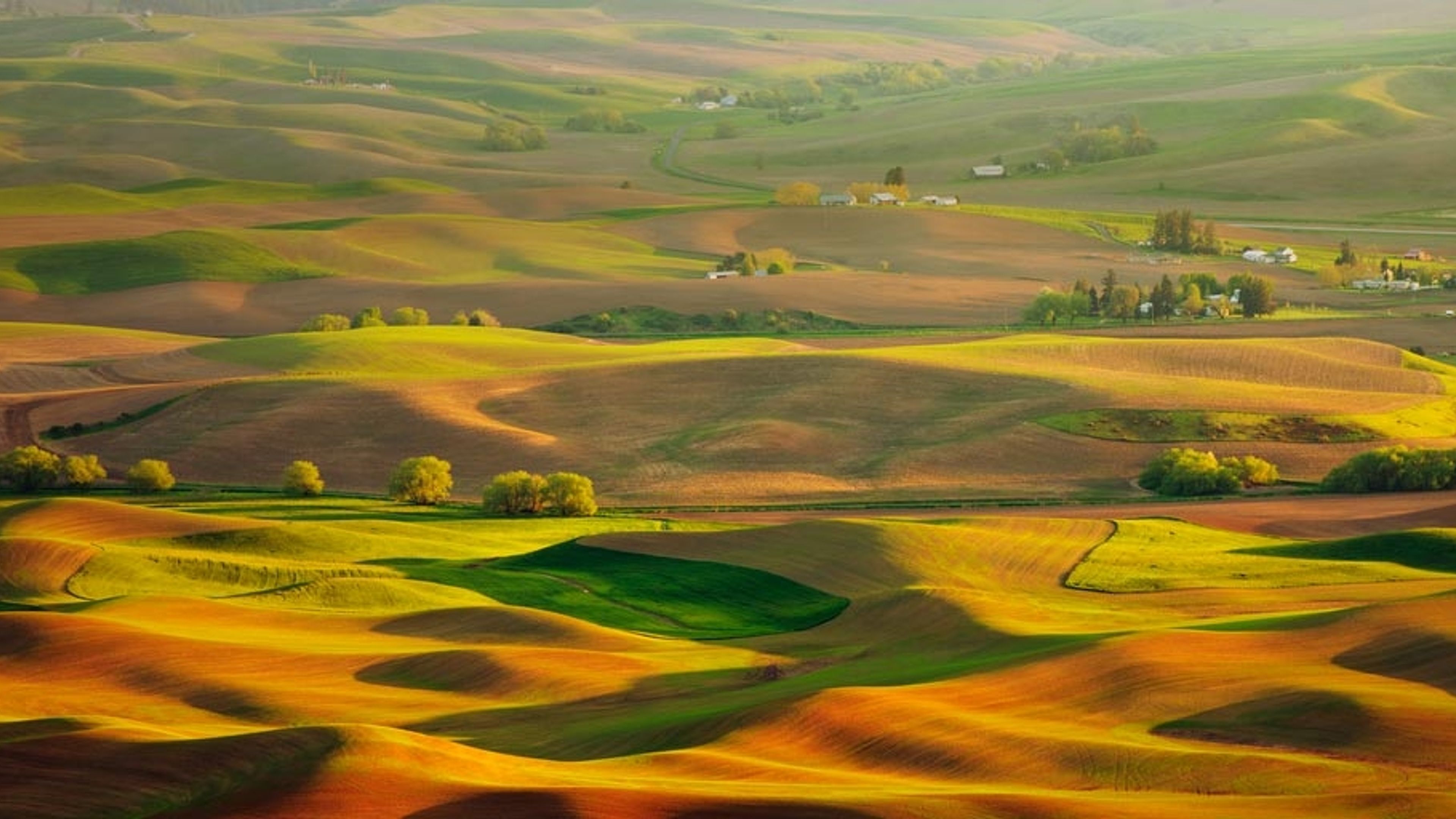 Palouse hills in the morning sun, Washington state, USA - Bing Gallery