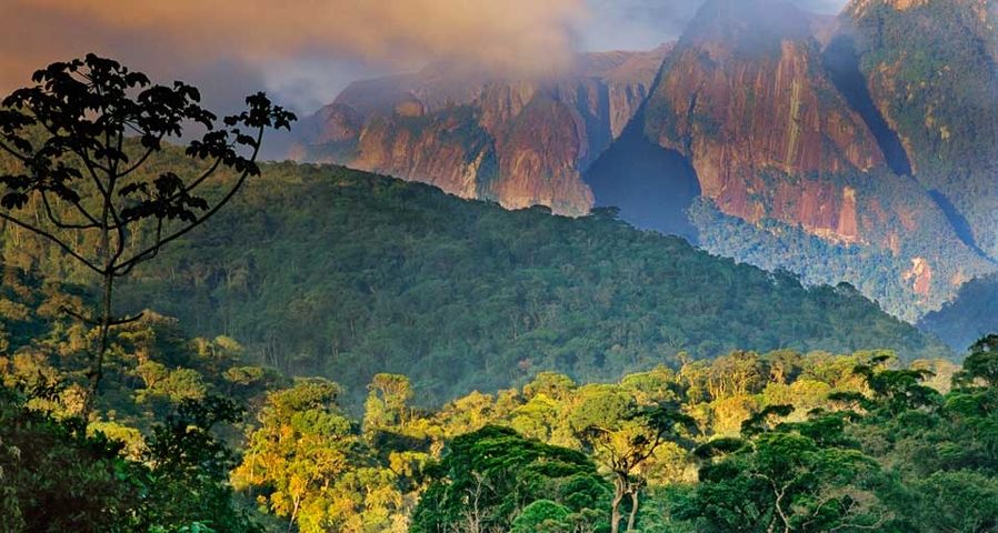 Atlantic rainforest and Organ Mountains in Serra dos Orgaos National Park, Brazil