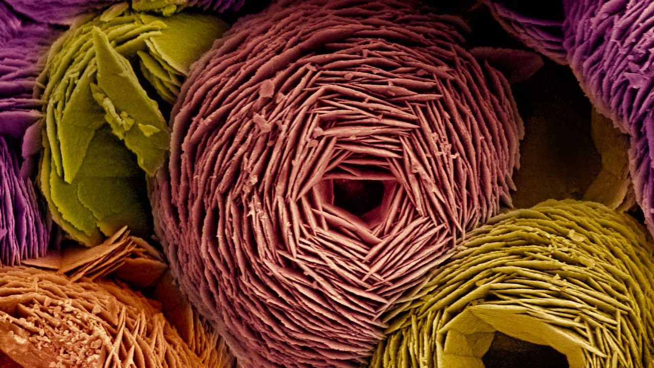 Scanning electron microscope (SEM) image of vaterite 