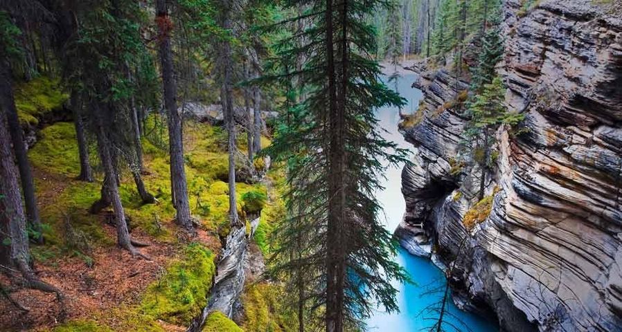 Der Athabasca River unter dem Athabasca Falls-Wasserfall im Jasper-Nationalpark, Alberta
