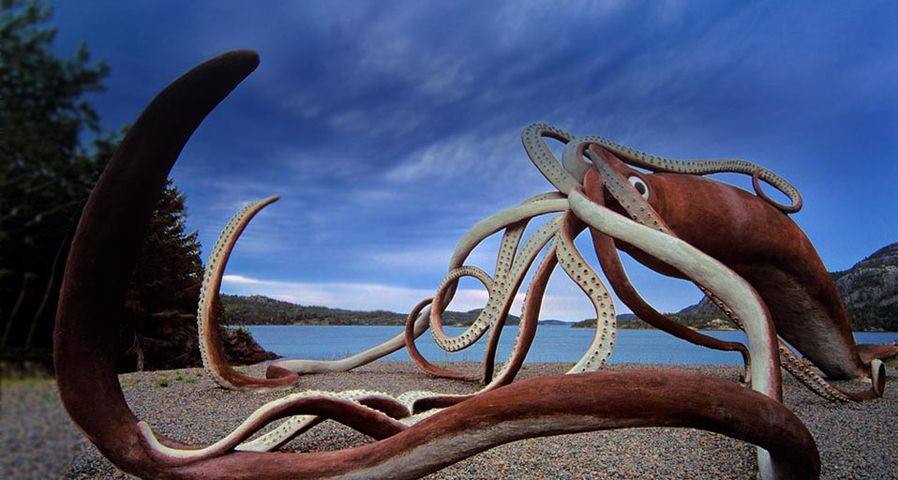 Giant Squid Monument at Glover's Harbour, Newfoundland, Canada