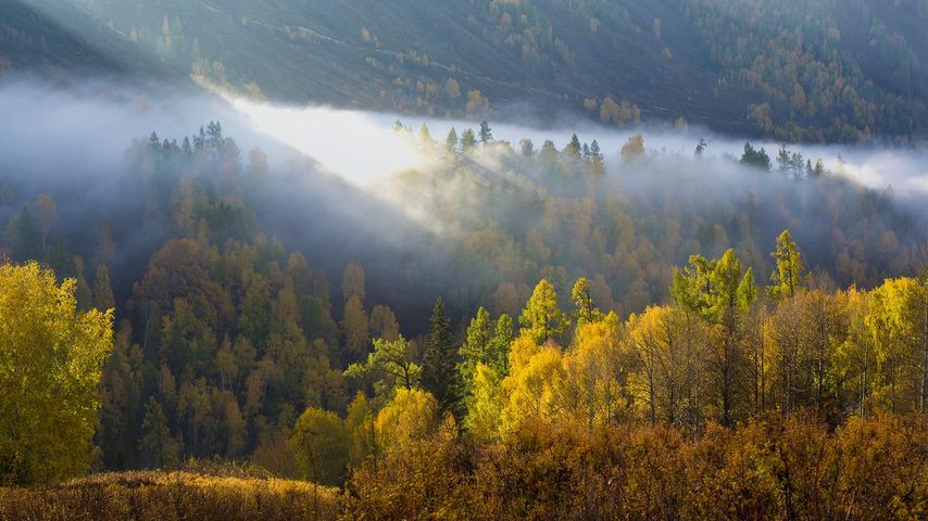 [今日秋分] 新疆，阿勒泰，阳光划过晨雾