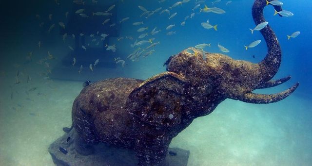Stone Elephant, Ko Racha Yai, Phuket, Thailand - Tim Rock/Photolibrary ©