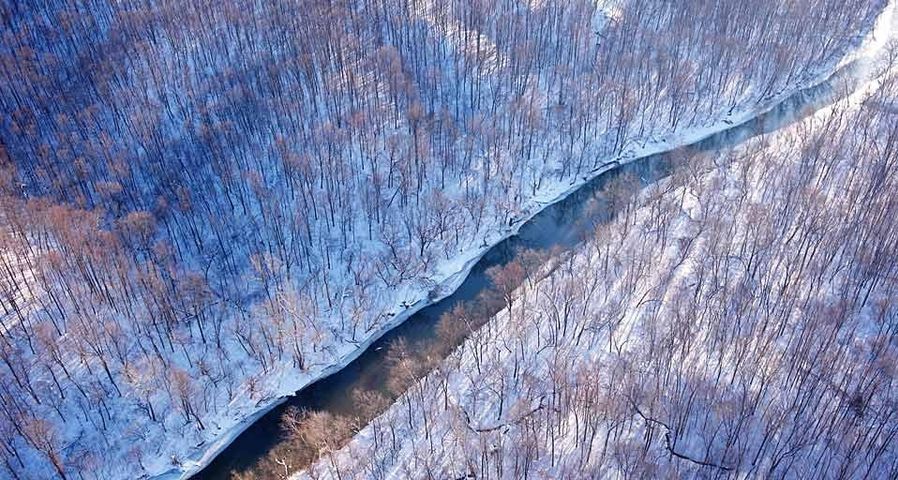 Aerial view of a creek flowing through the countryside of Virginia