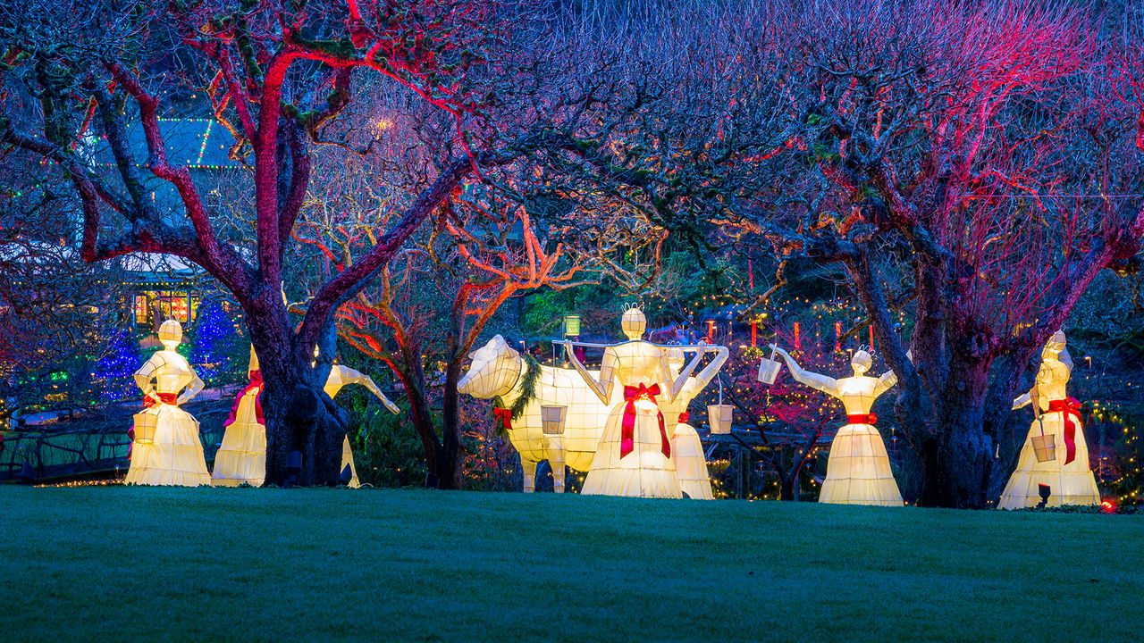 The 12 Days of Christmas display at Butchart Gardens, Vancouver, B.C.