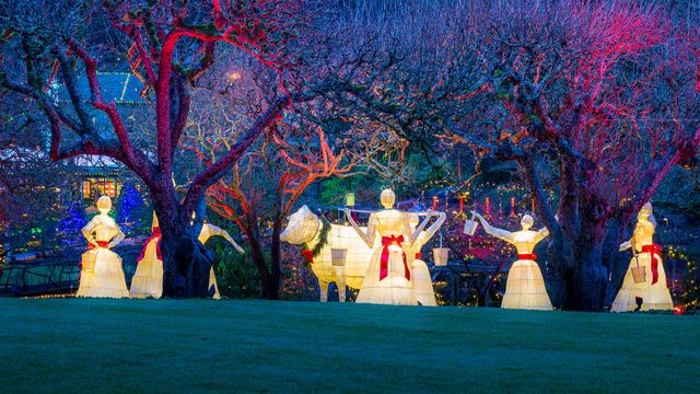 The 12 Days of Christmas display at Butchart Gardens, Vancouver, B.C.