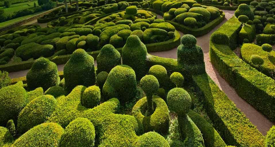 Sculpted boxwoods at the Château de Marqueyssac in Vézac, France