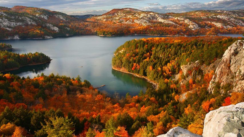 Autumn in Killarney Provincial Park, Ont.