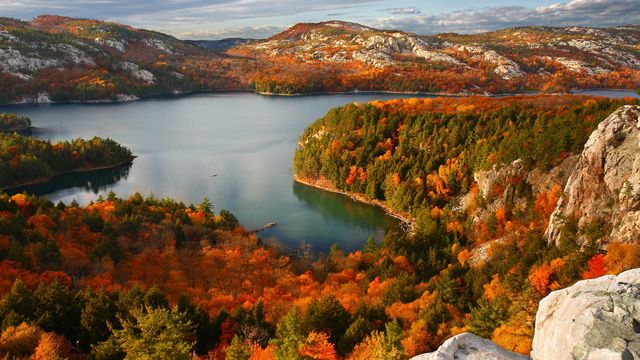 Autumn in Killarney Provincial Park, Ont.
