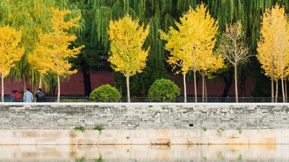 用wiki记录开发文档