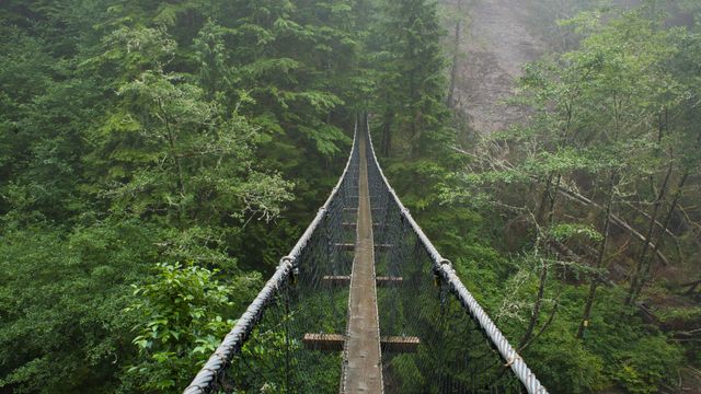 Logan Creek Suspension Bridge, West Coast Trail, British Columbia