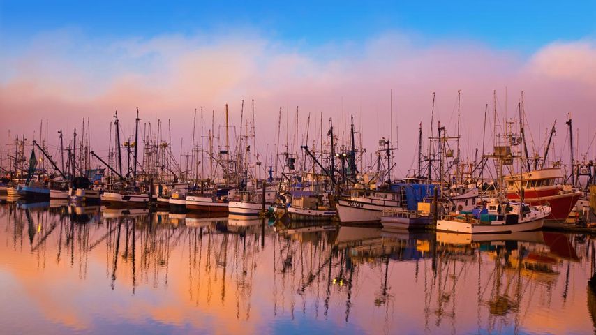 Fishing boats moored in Newport, Oregon, USA