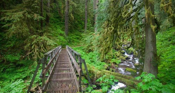 去个同事那拷了20多GB的电子书