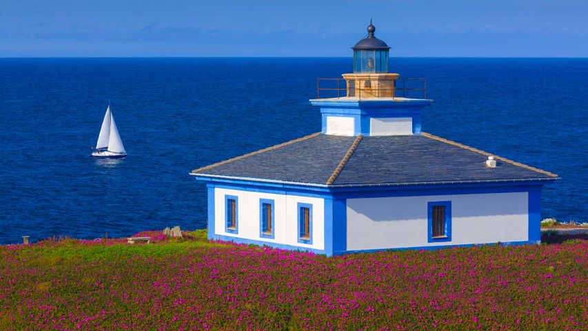 Beacon of blue