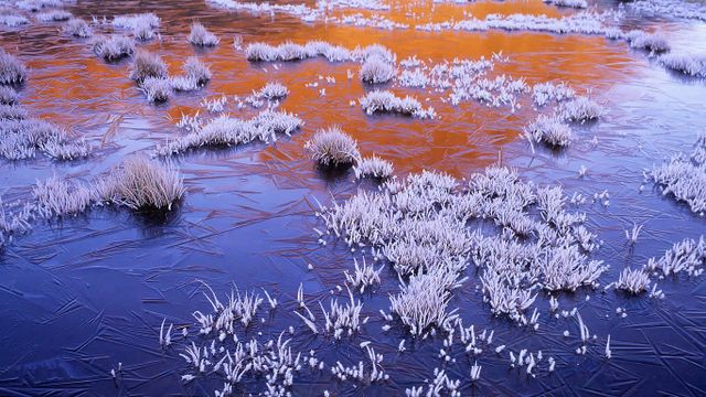 Frozen tarn in the Walls of Jerusalem National Park, Tasmania 