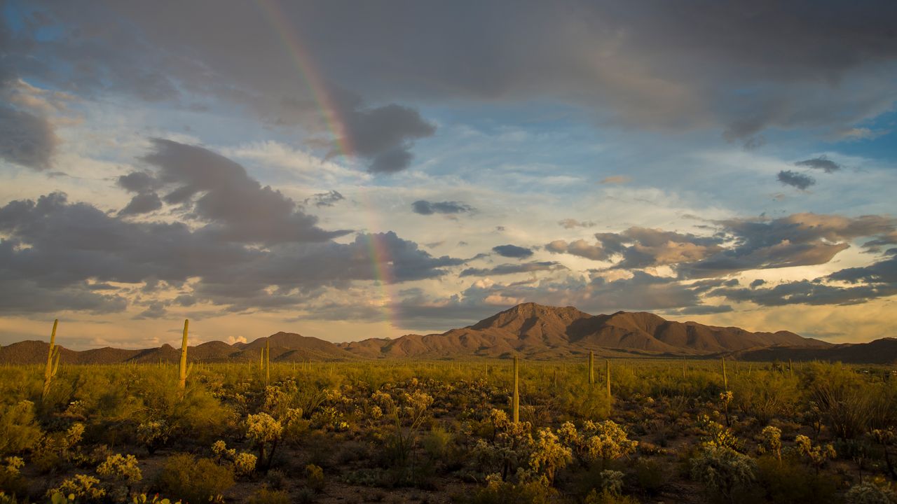 Regenbogen über dem Wasson Peak, Saguaro-Nationalpark, Arizona, USA