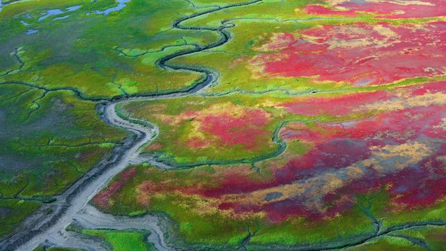 Tidal flats, Katmai National Park, Alaska