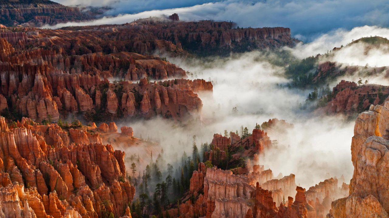 Felsformationen (Hoodoos) im Nebel, Bryce-Canyon-Nationalpark, Utah, USA