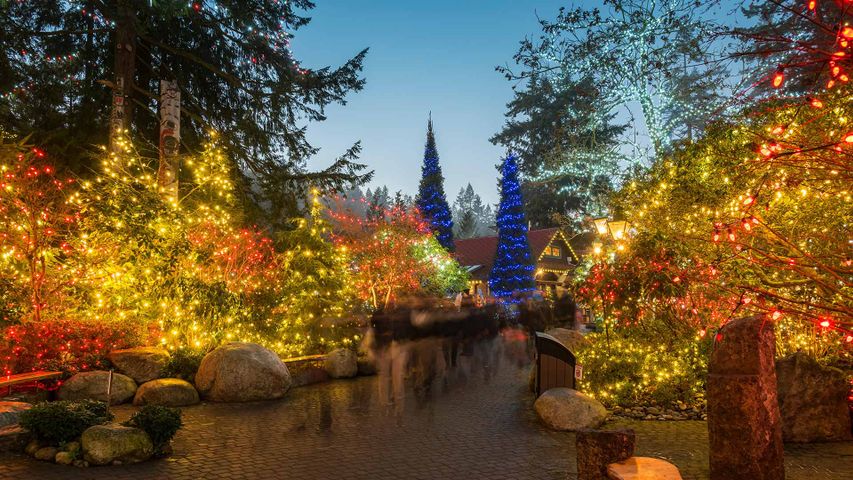 Capilano Suspension Bridge Park decorated with Christmas lights, Vancouver 