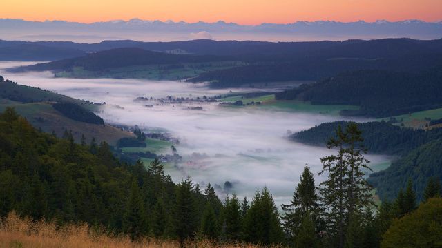 Blick vom Herzogenhorn auf das Bernauer Hochtal, Bernau und die Schweizer Alpen