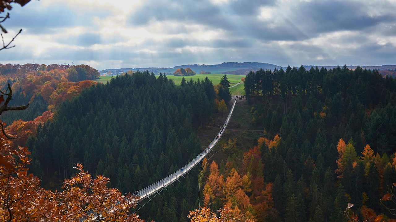 Hängeseilbrücke Geierlay, Saar-Hunsrück-Steig, Hunsrück, Rheinland-Pfalz, Deutschland