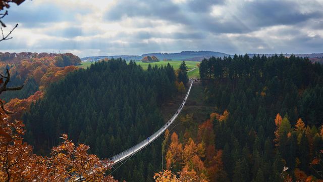 Hängeseilbrücke Geierlay, Saar-Hunsrück-Steig, Hunsrück, Rheinland-Pfalz, Deutschland