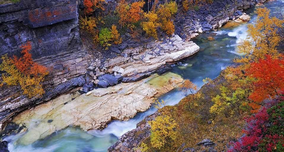 Autumn scenery along the Abiskojåkka River in Abisko National Park, Norrbotten, Lapland, Sweden