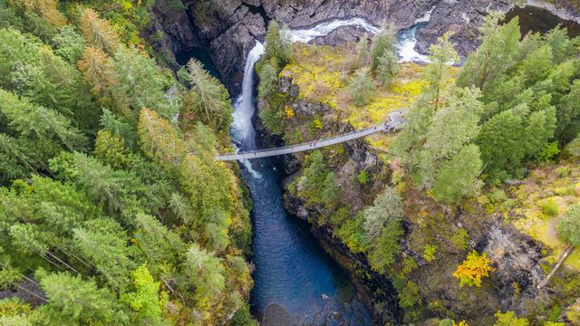 Aerial view of Elk Falls suspension bridge on Vancouver Island
