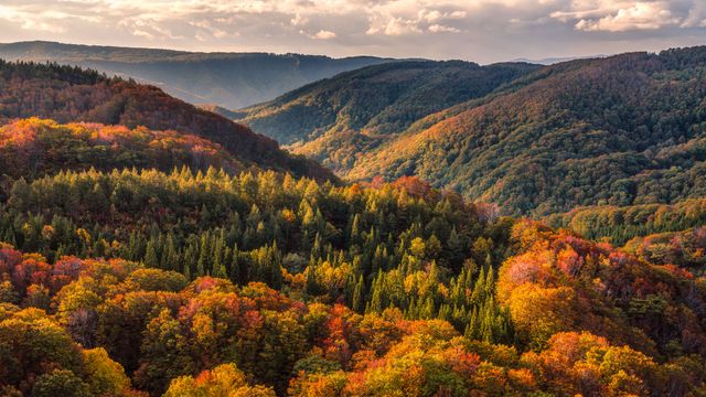 八甲田山の紅葉, 青森県青森市