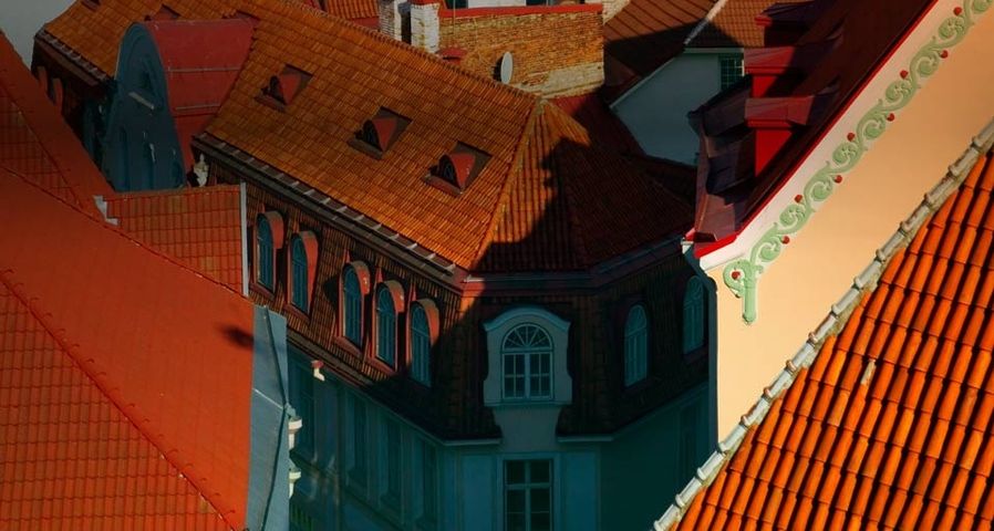 Overview of red roofs of Tallinn, Estonia
