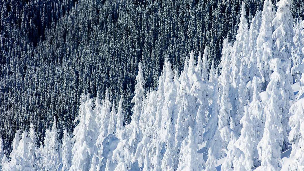 Whistler Mountain in British Columbia, Canada