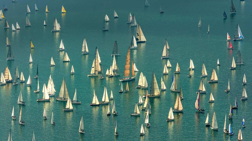 Boats massing for the Barcolana regatta in the Gulf of Trieste, Italy
