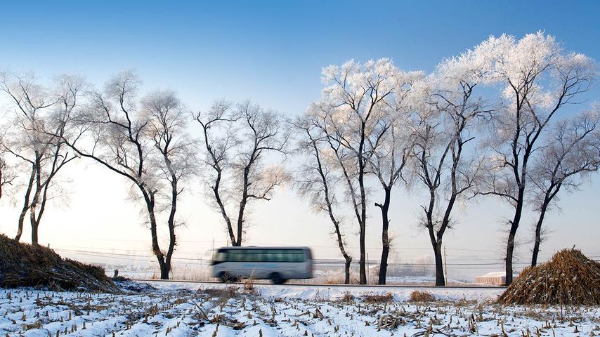 [今日立冬] 中国，吉林，雾凇与公路