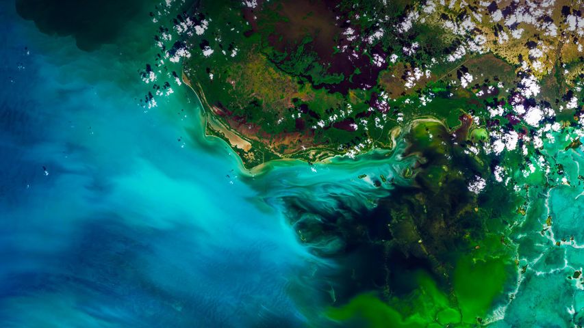 大沼泽地国家公园的卫星视图，佛罗里达州 