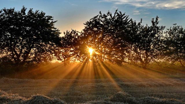 Sonnenuntergang in der Nähe von Hetzles, Fränkische Schweiz, Bayern, Deutschland 