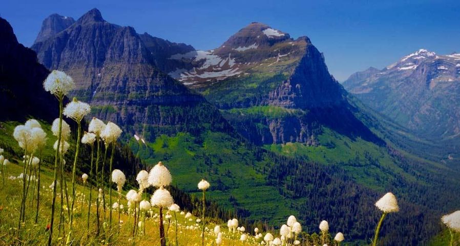 Monts Clements et Oberlin depuis le sentier Highline Trail, parc national de Glacier, Montana, États-Unis