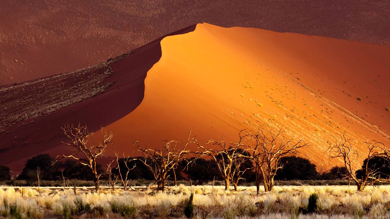 Dunes de sable dans le Sossusvlei, Namibie