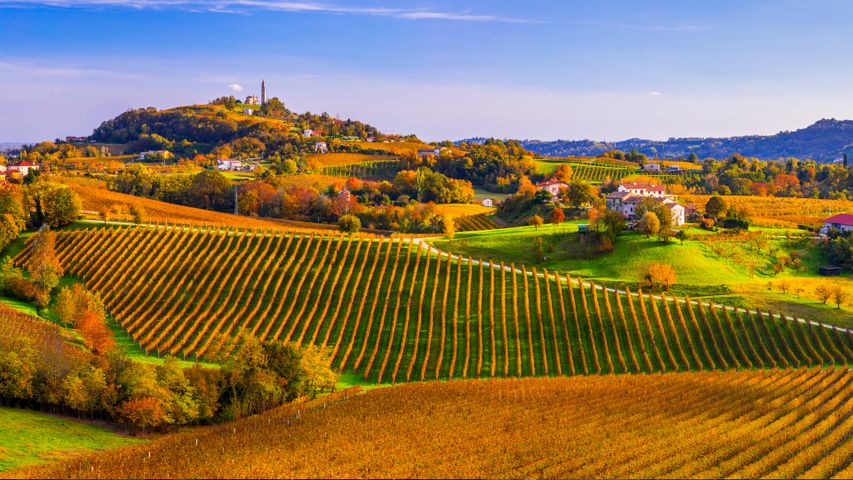Prosecco Hills of Conegliano and Valdobbiadene, Veneto, Italy