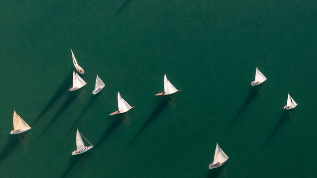 Luftaufnahme von Segelbooten, Friedrichshafen, Bodensee, Baden-Württemberg