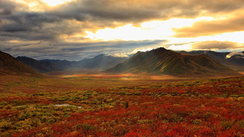 Shaft of sunlight hitting the fall colours of the Dempster Highway, Yukon 